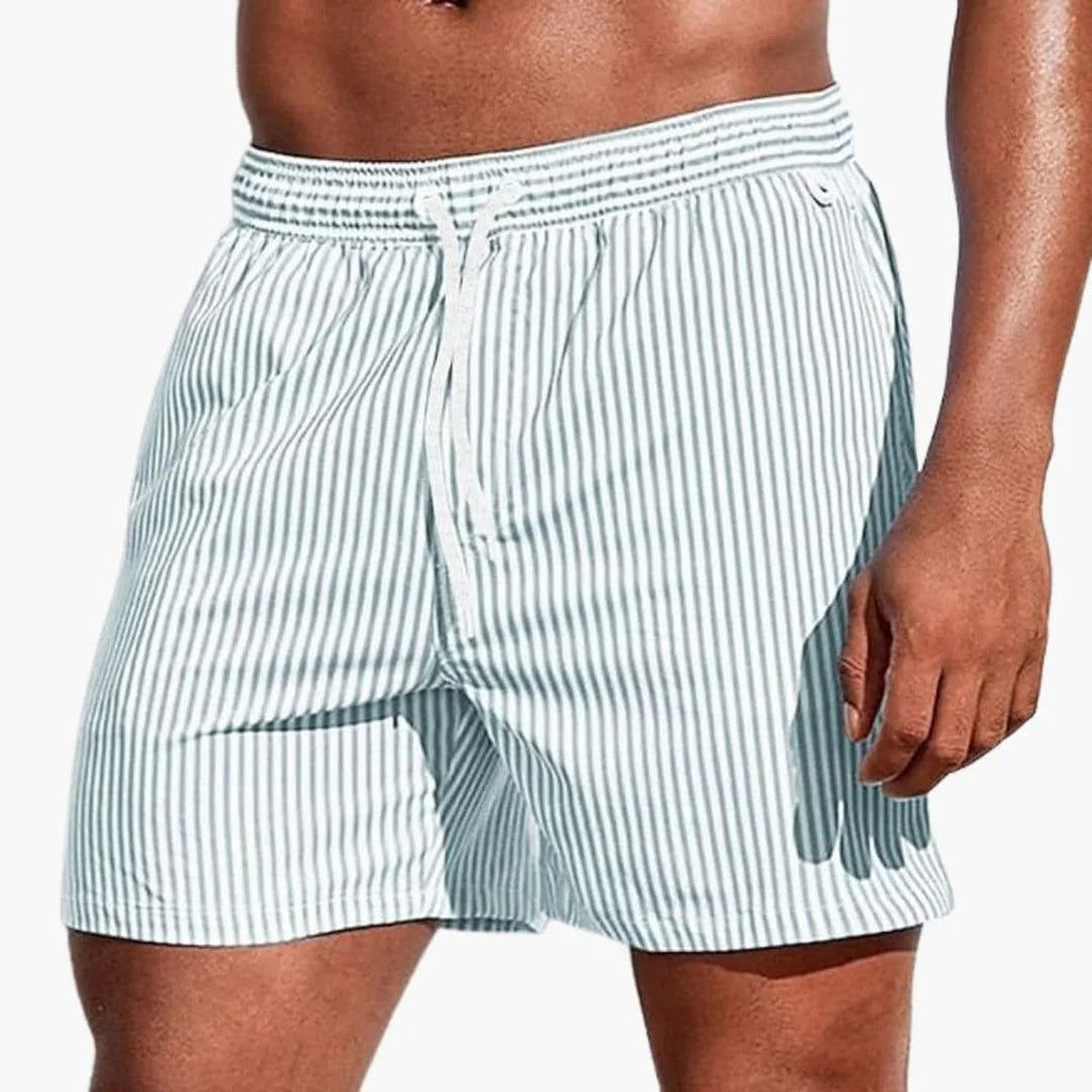 P|H - Striped Swim Short Lucas