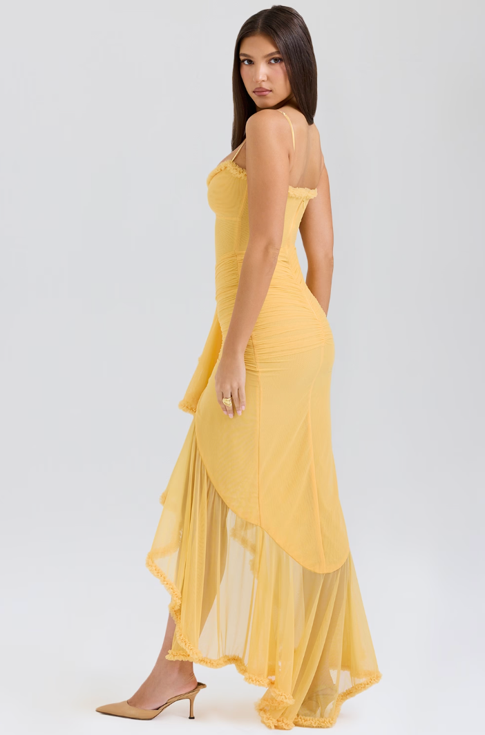 P|H - Elegant Dress Romane